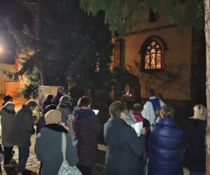 Lire la suite à propos de l’article La Solennité de l’Immaculée Conception – 8 Décembre 2025 –